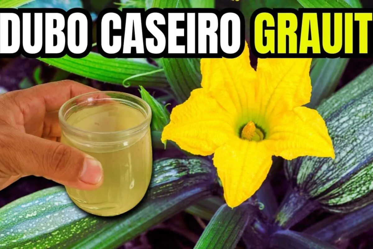Adubo caseiro para plantas: ajuda a crescer e florir muito mais rápido de forma natural