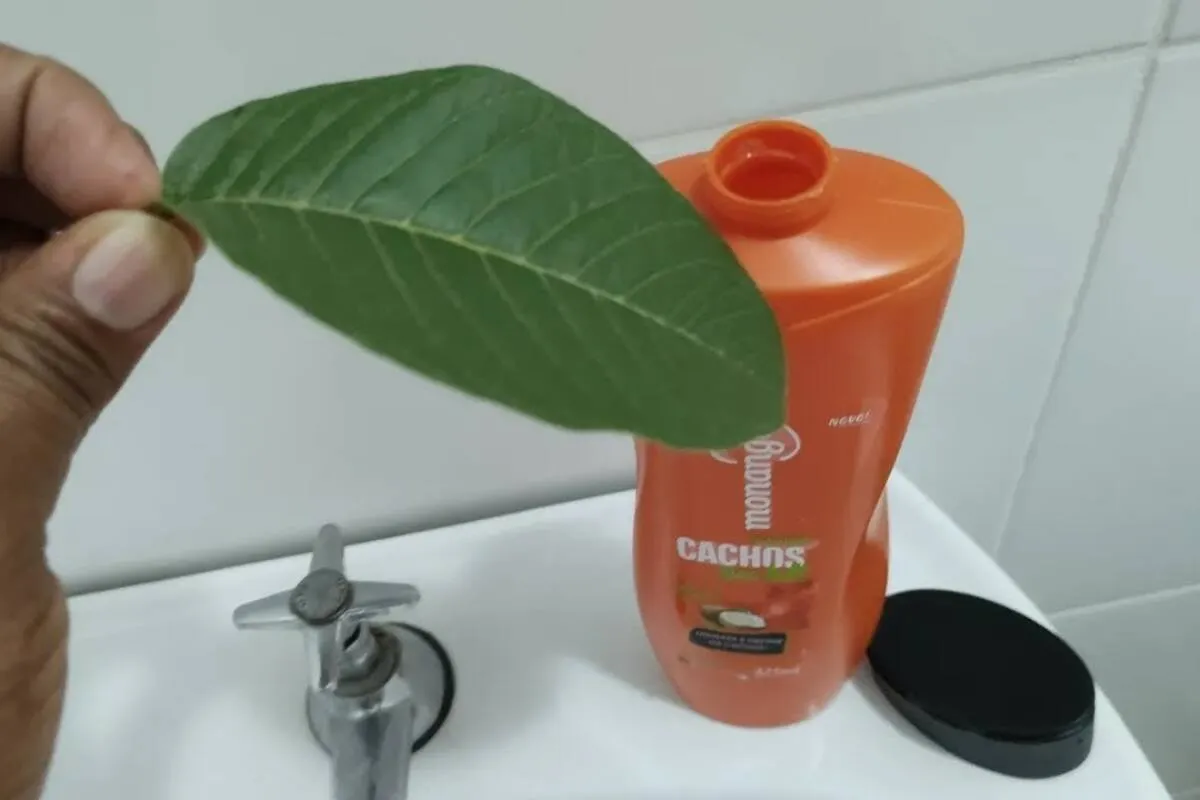 Aprenda a fazer um shampoo caseiro ótimo para seus cabelos e ainda economize mais no mercado