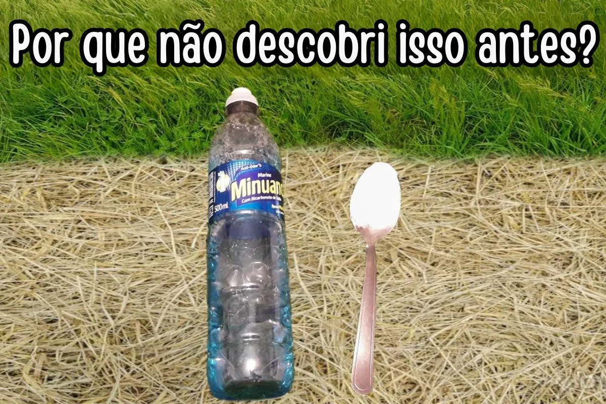 Aprendi a fazer um mata mato caseiro simples e barato que funciona de verdade
