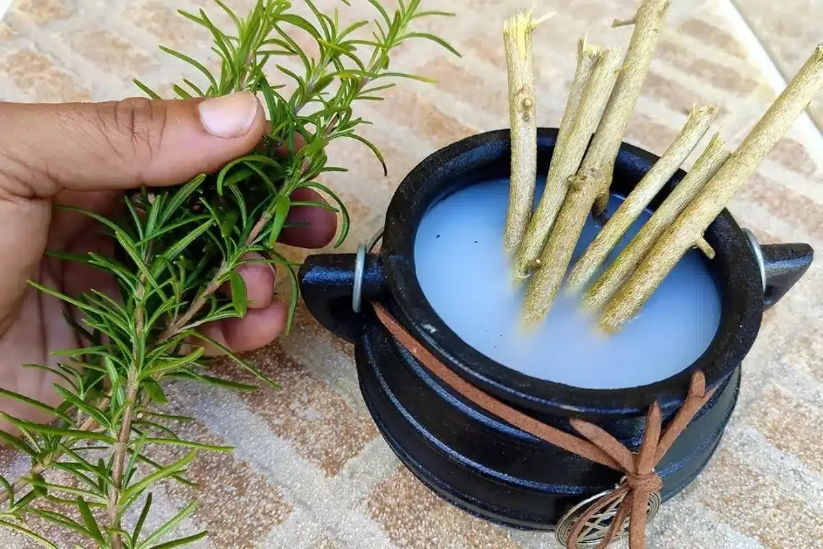 Aromatizador de ambiente caseiro: muito mais barato do que gastar dinheiro com essências