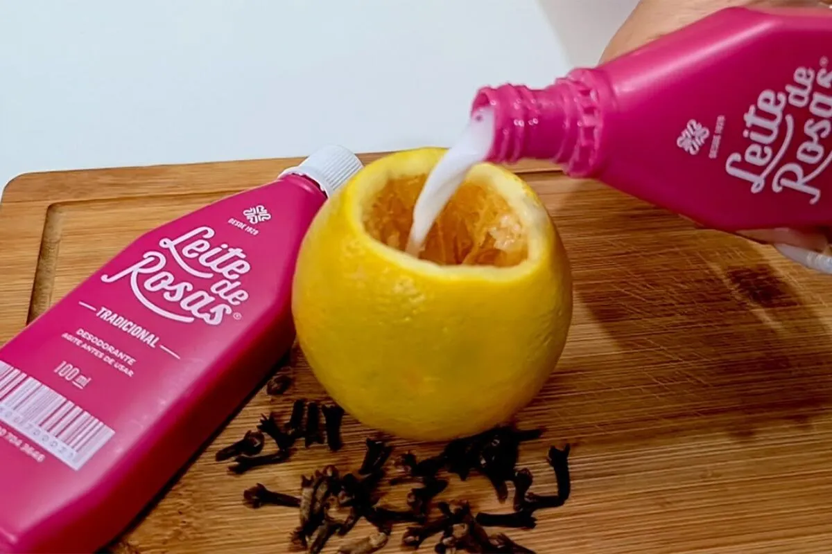 Aromatizante caseiro: nunca mais compro no supermercado, eu mesma faço em casa o aromatizante e repelente