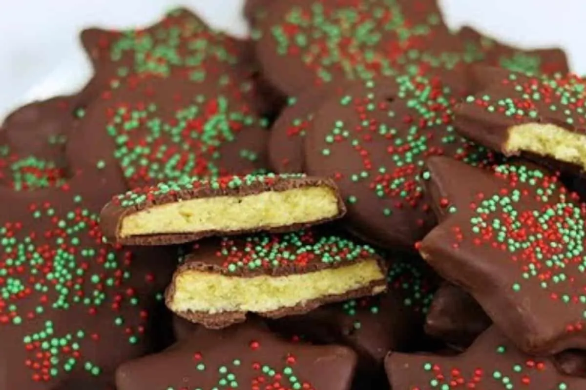 Biscoitinho amanteigado de natal que todo mundo adora e não consegue comer só um
