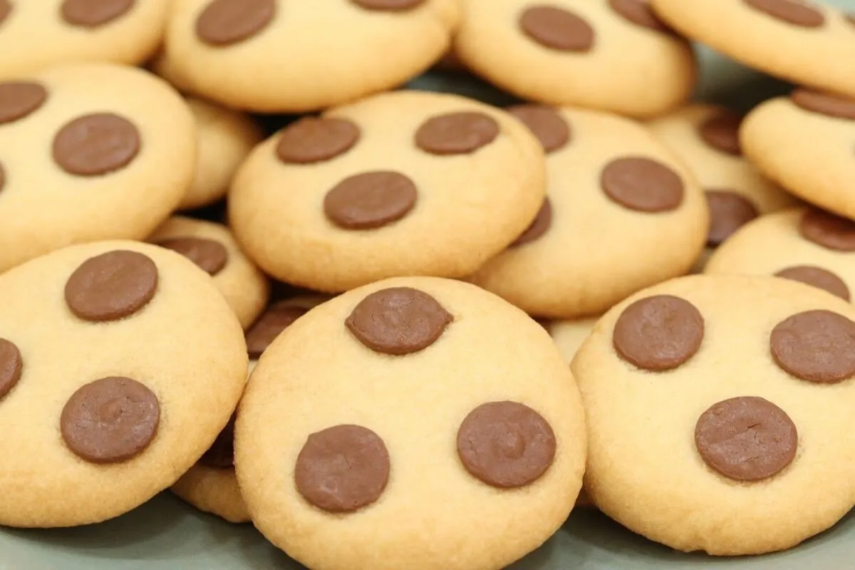 Biscoitinho caseiro com poucos ingredientes, derrete na boca e fica pronto em minutos