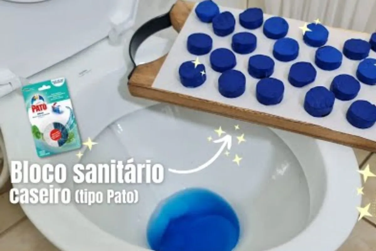 Bloco sanitário caseiro: como deixar seu banheiro cheiroso a semana toda
