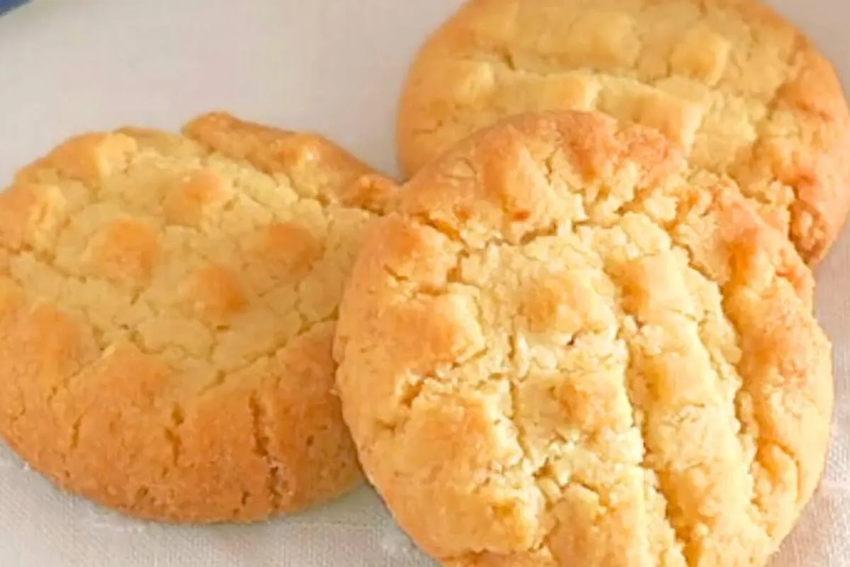 Bolachinha sem açúcar e low carb que precisa só de 4 ingredientes para fazer