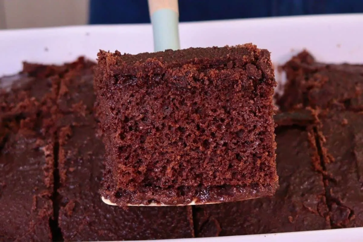 Bolo de chocolate simples e fofinho com cobertura de casquinha irresistível
