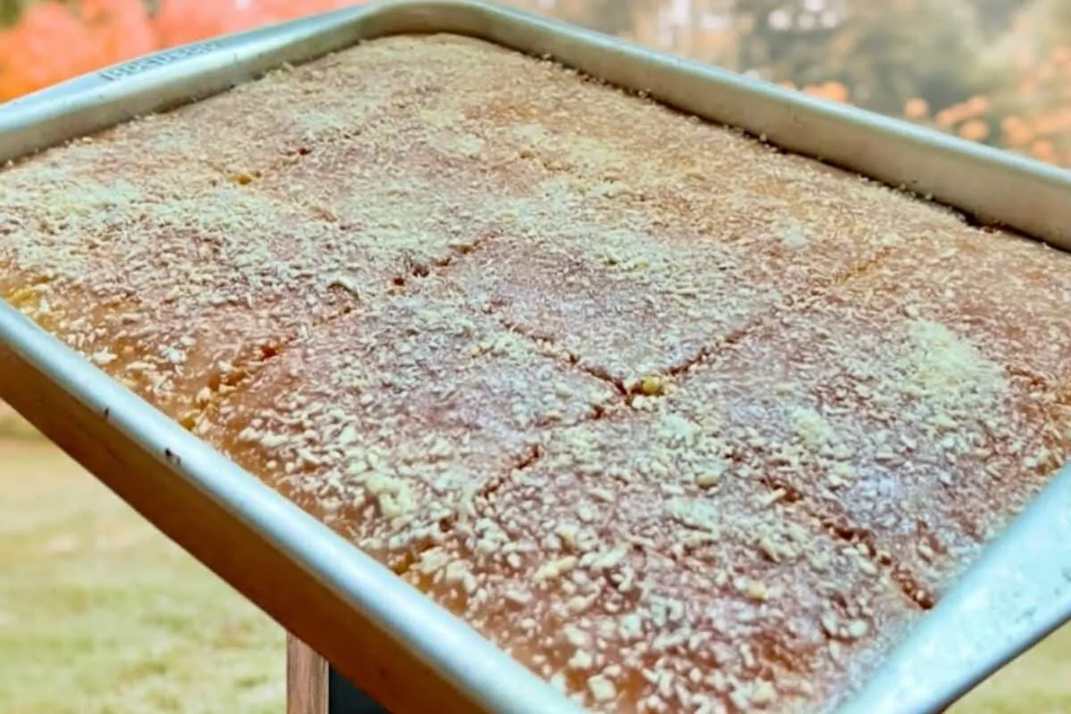 Bolo encanto de coco bem molhadinho: a melhor opção para o seu lanche da tarde