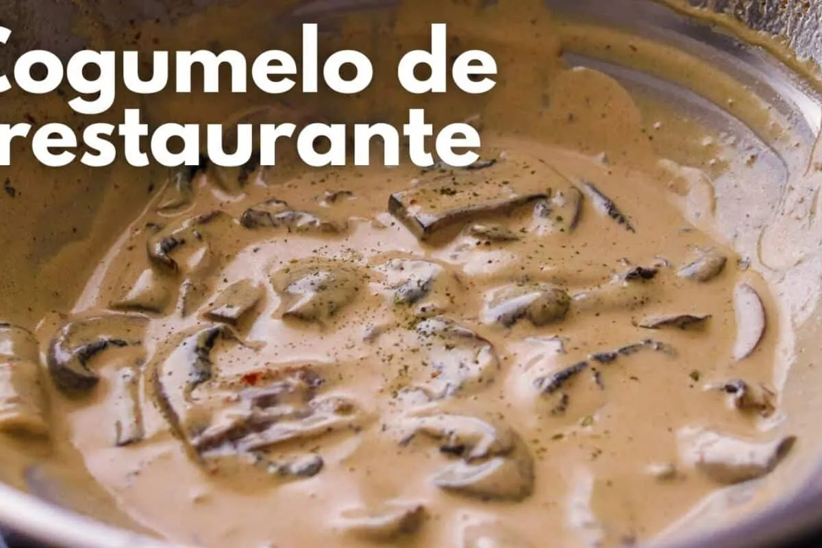 Cogumelo cremoso com sabor de restaurante: uma receita simples e divina, para uma ocasião especial