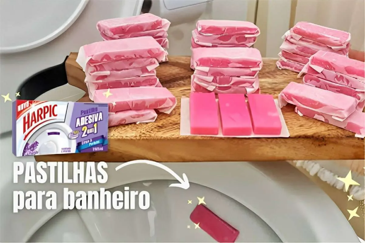 Com menos de 10 reais e apenas 2 ingredientes fiz pastilha sanitária caseira pra mais de 3 meses