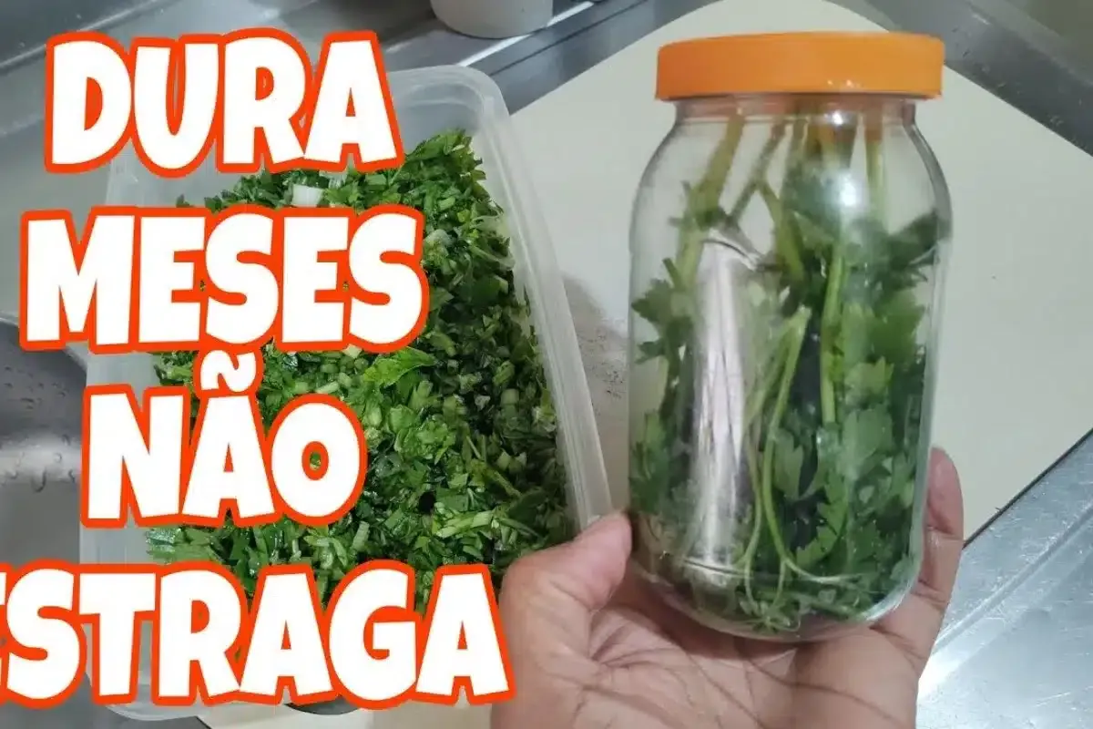 Como conservar cheiro verde na geladeira sem murchar ou ressecar
