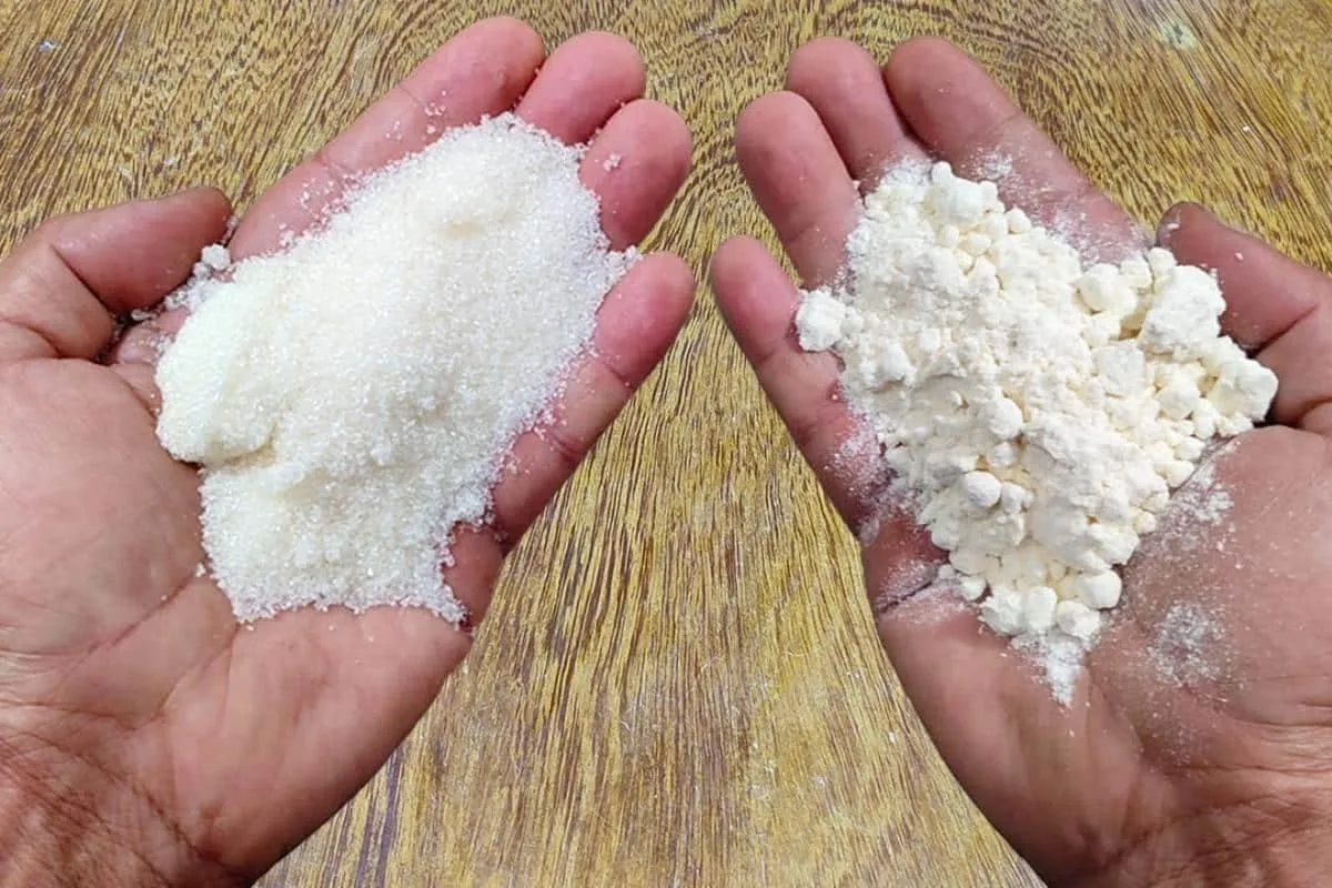 Como eliminar insetos da sua cozinha e toda sua casa sem precisa passar veneno
