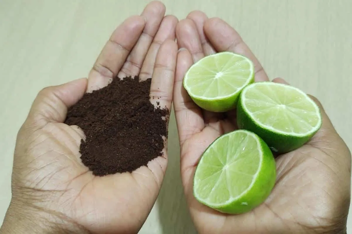 Como evitar mau cheiro na geladeira: misturinha que elimina todo odor indesejado