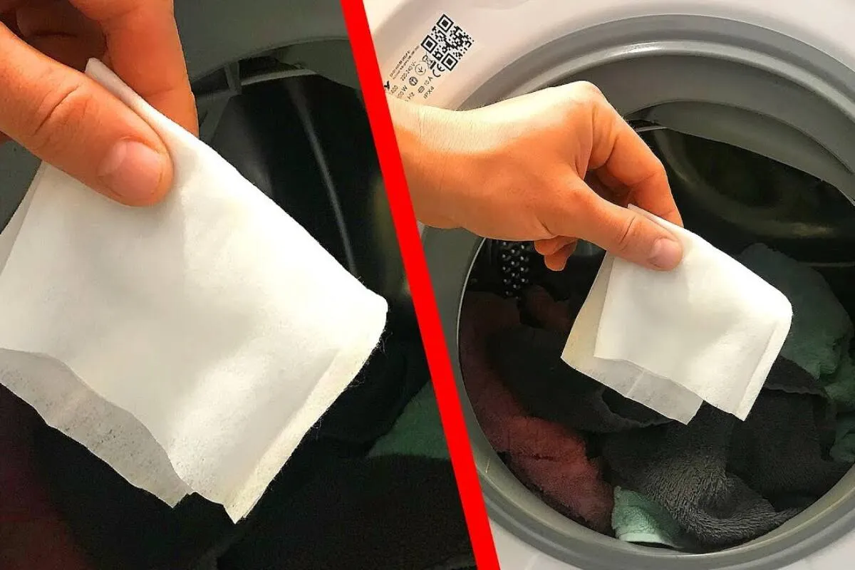 Como evitar pelos nas roupas na hora da lavagem: dica fácil e muito barata de fazer
