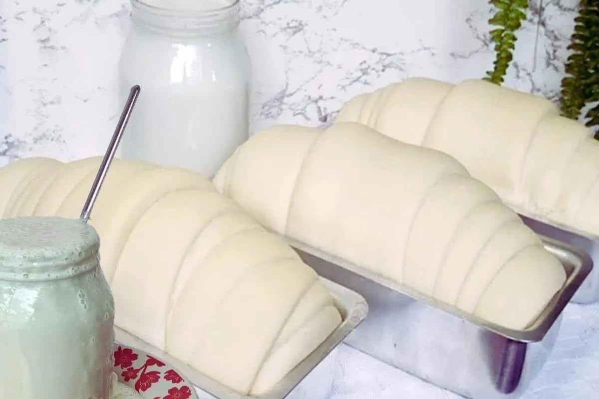 Como fazer fermento caseiro: com essa dica seu pão caseiro cresce até nos dias frios