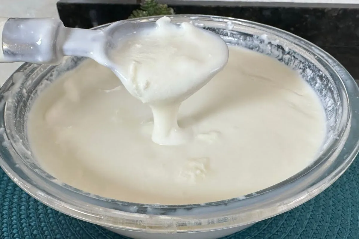 Como fazer iogurte natural: receita perfeita para ter um iogurte cremoso e saudável em casa