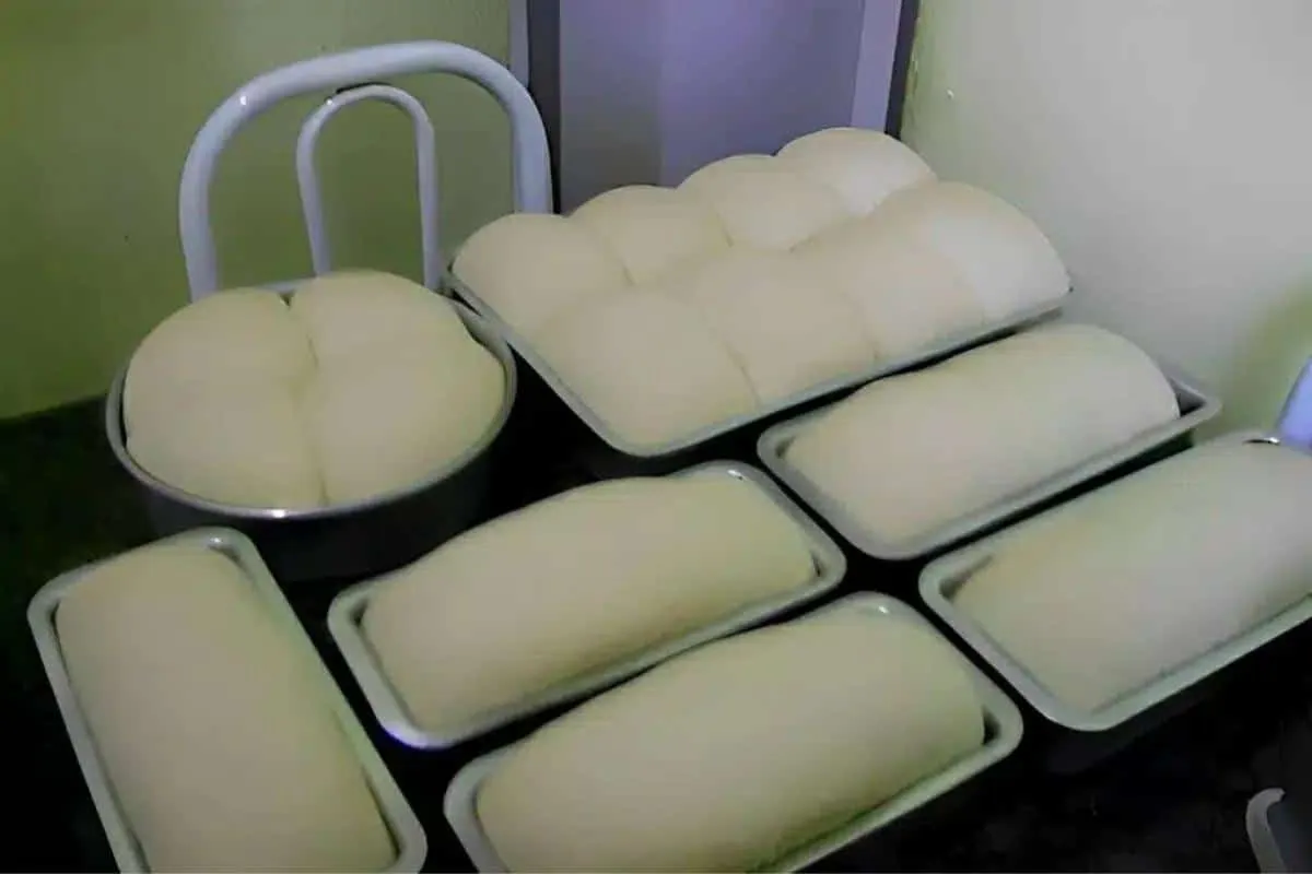 Como fazer pão caseiro que cresce bastante: aprenda todos os segredos