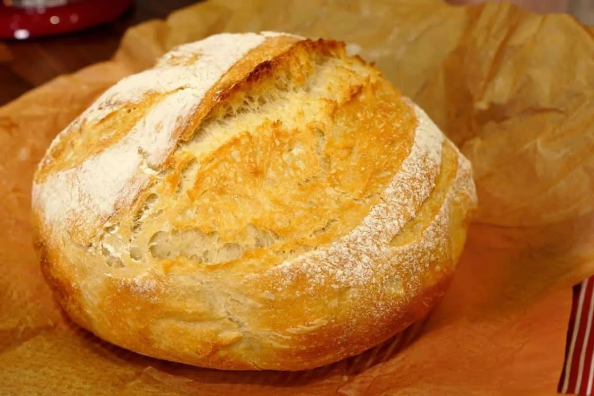 Como fazer pão fofinho e delicioso na sua casa usando apenas 4 ingredientes