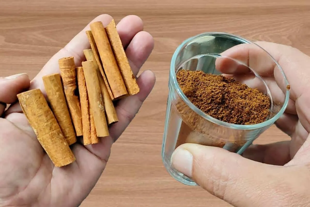 Como fazer planta crescer e florir: não precisa comprar produto na loja de plantas
