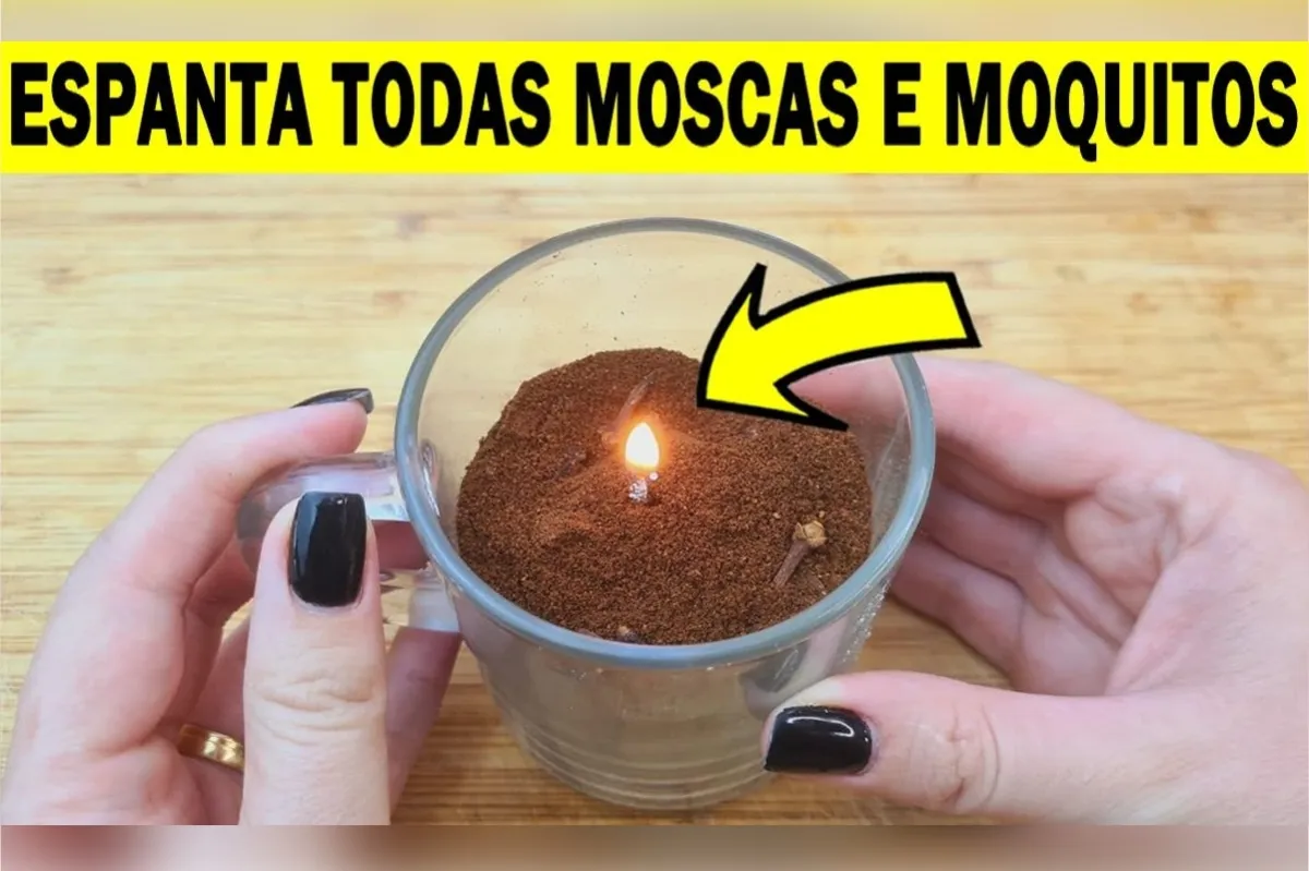 Como fazer um repelente de mosquitos caseiro que vai deixar sua casa livre deles o dia todo
