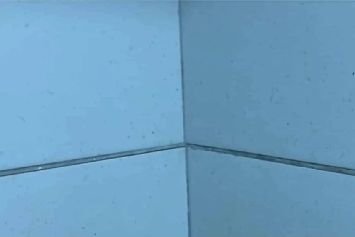 Como limpar azulejo engordurado da cozinha: dica super simples e barata de fazer