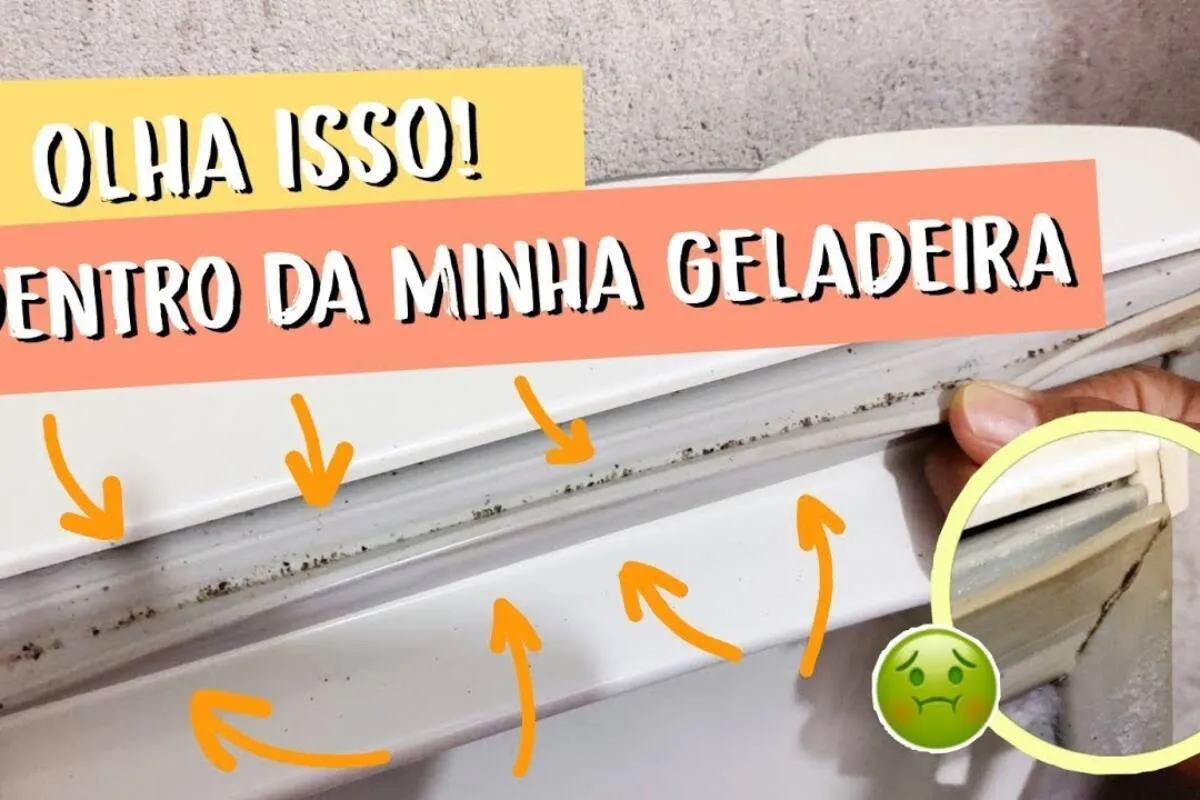 Como limpar borracha da geladeira e retirar o mofo e sujeira de um jeito bem fácil