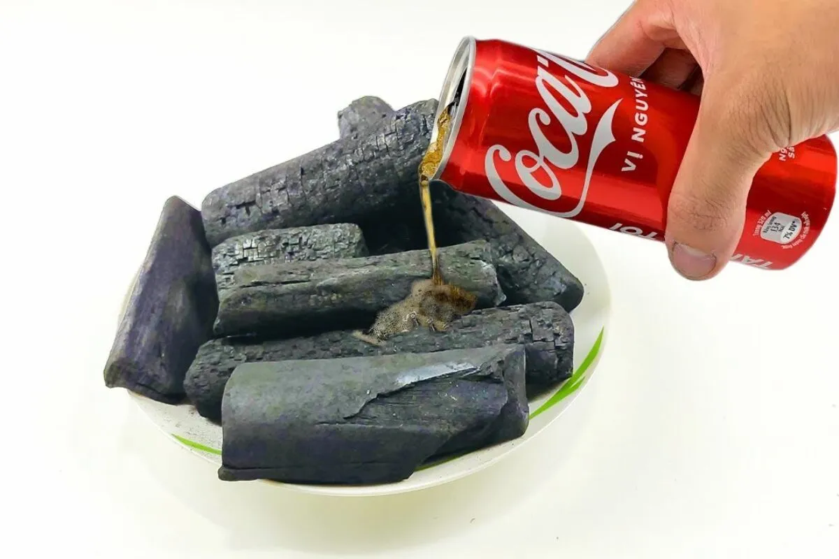 Como limpar panela queimada com coca-cola: dica imperdível super simples de fazer