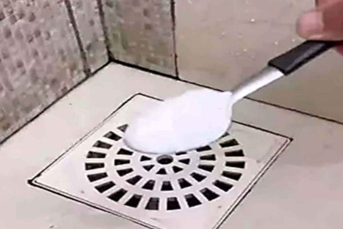 Como limpar ralo do banheiro e tirar todo mau cheiro com um ingrediente que você tem em casa
