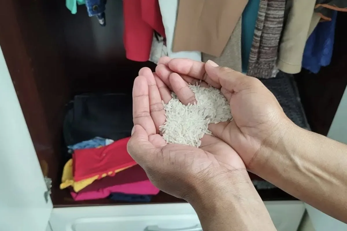 Como tirar cheiro de mofo da roupa e do guarda de uma vez por todas