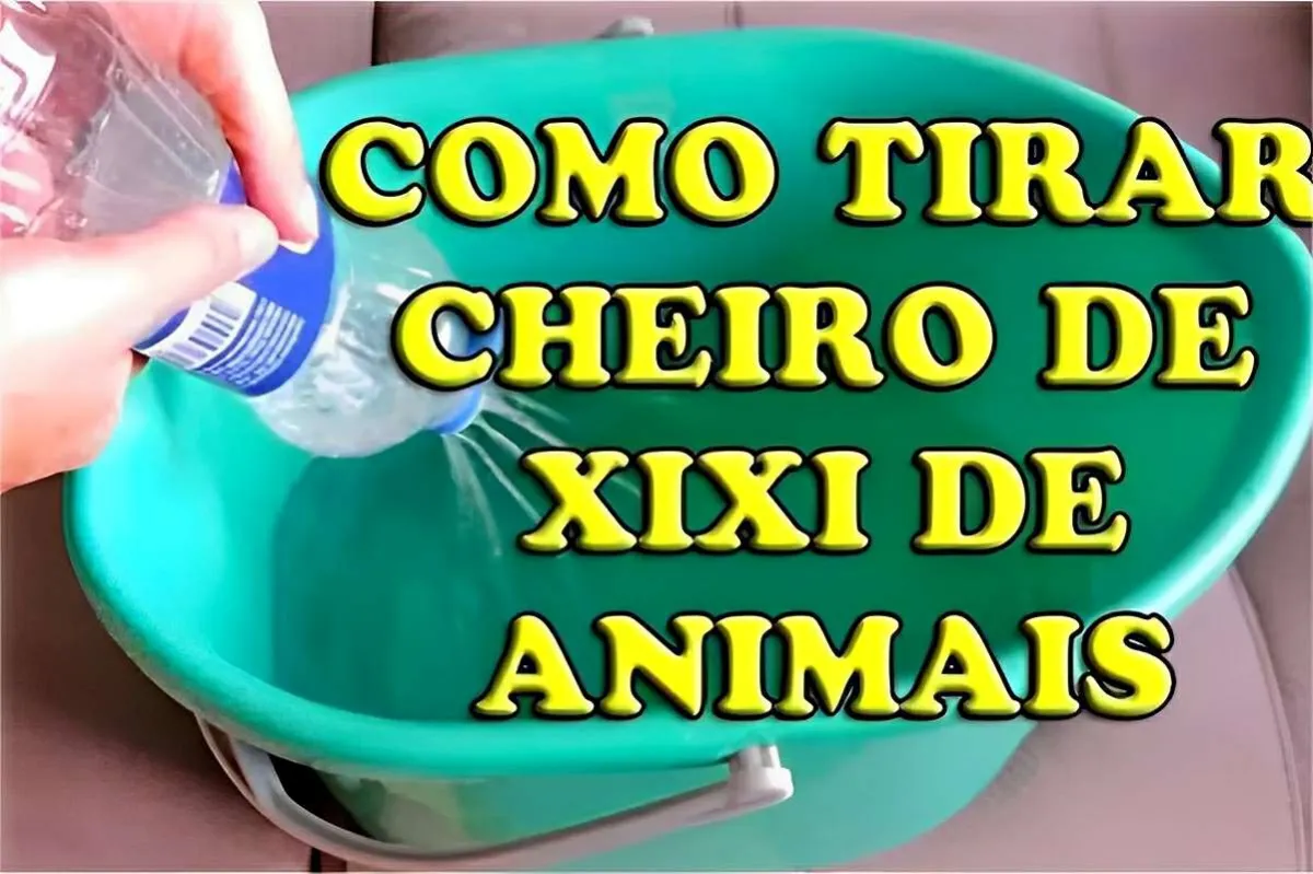 Como tirar cheiro de urina de animais da sua casa com essa misturinha caseira de 3 ingredientes