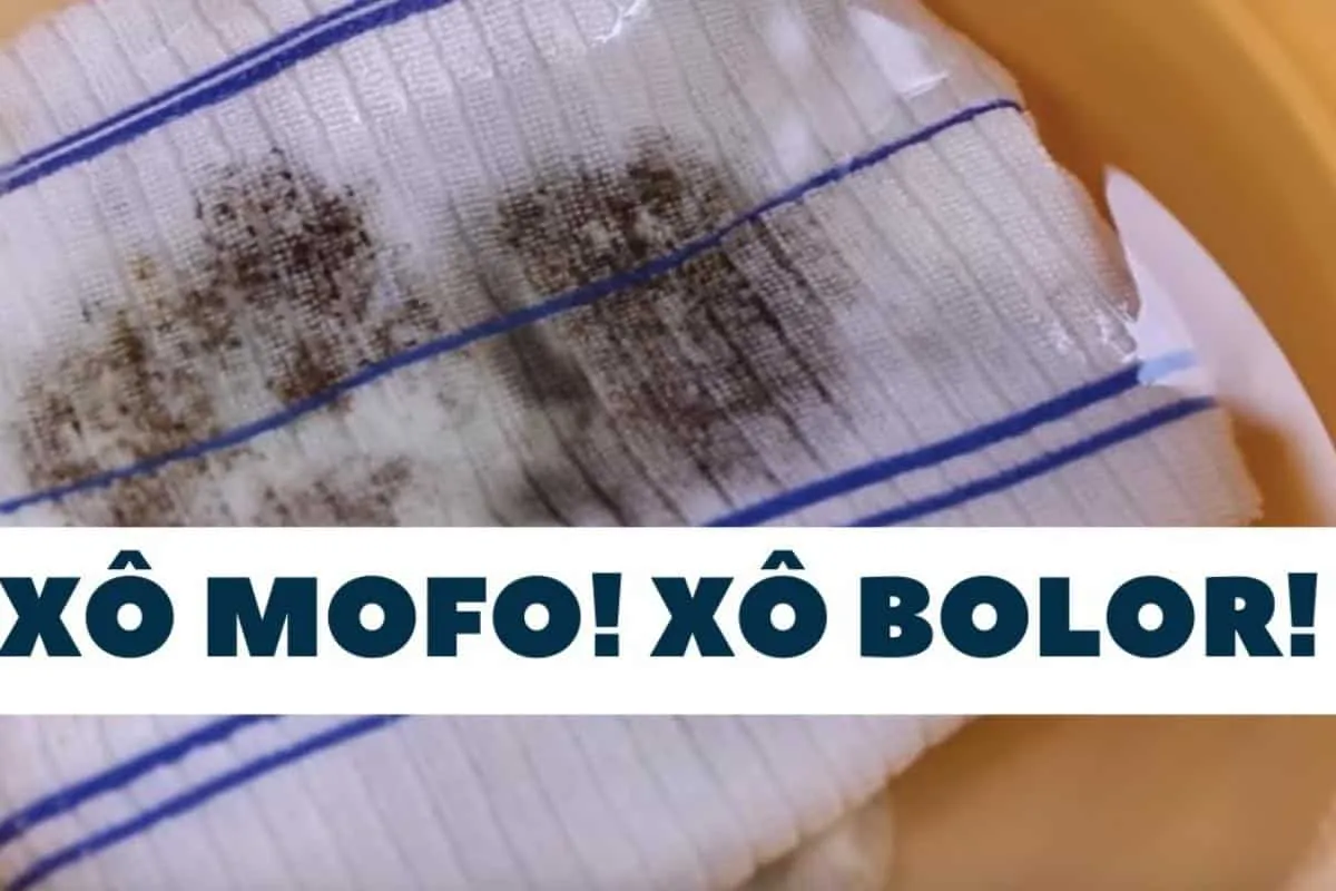 Como tirar mancha de mofo de toalhas e panos de prato: misturinha caseira que faz milagres
