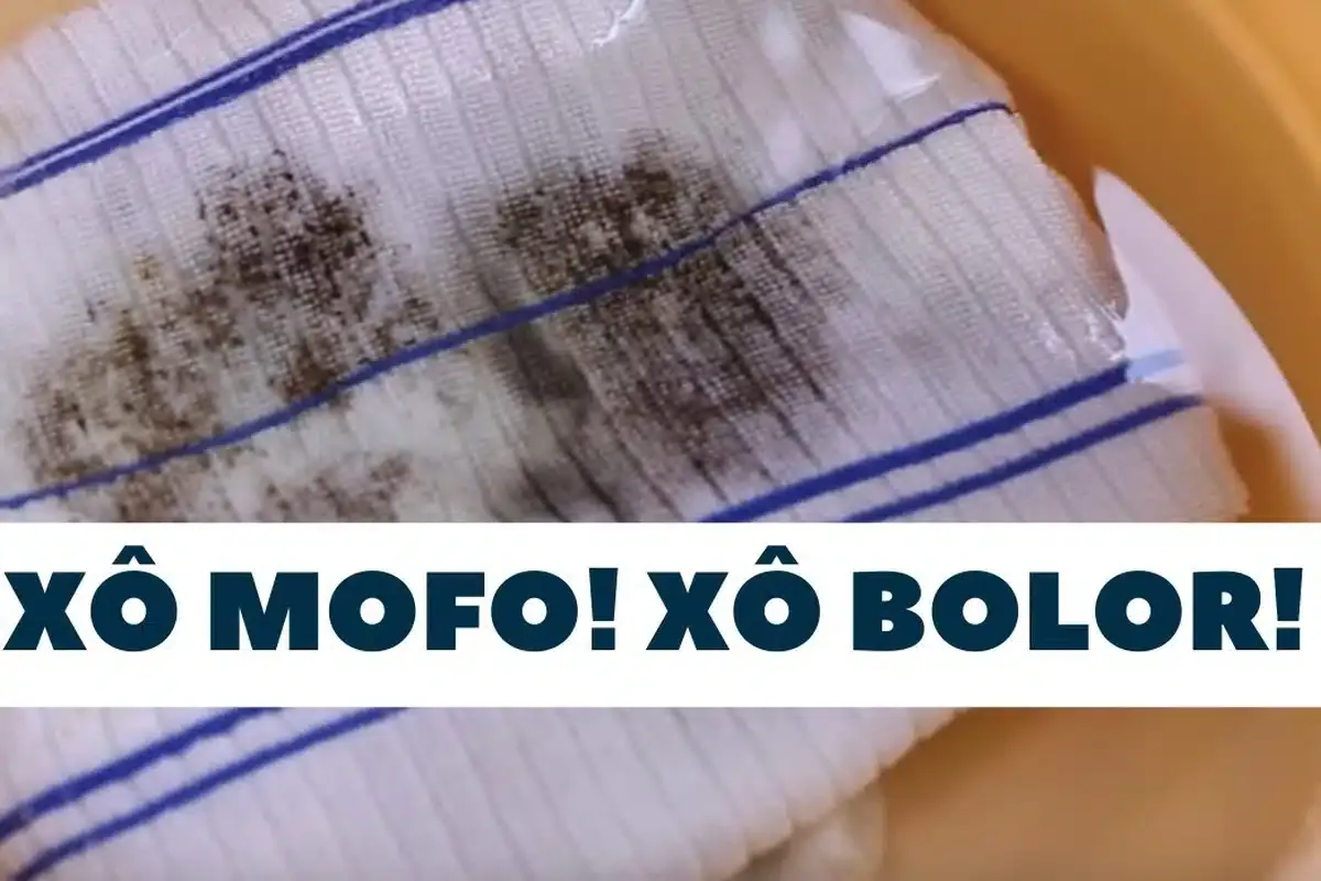 Como tirar manchas de mofo e bolor de toalhas e panos de prato