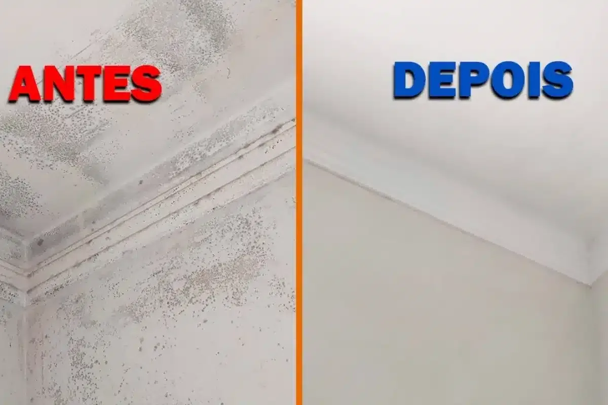 Como tirar mofo das paredes com misturinha caseira super fácil de fazer