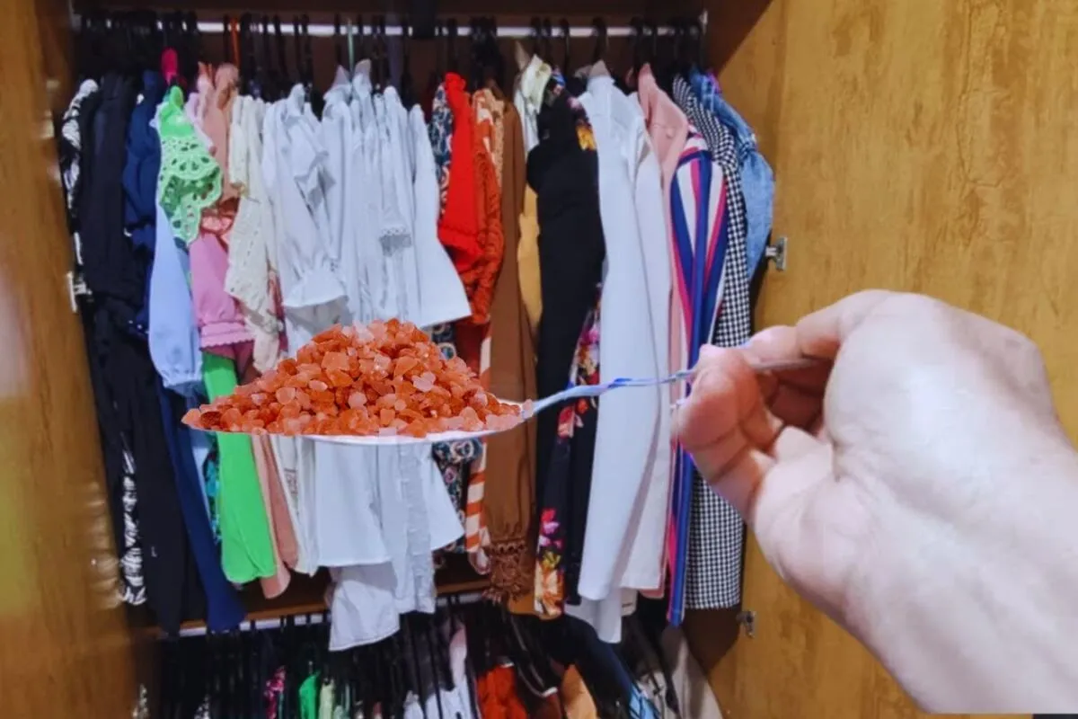 Como tirar mofo do guarda-roupas usando uma dica bem simples e barata que realmente funciona