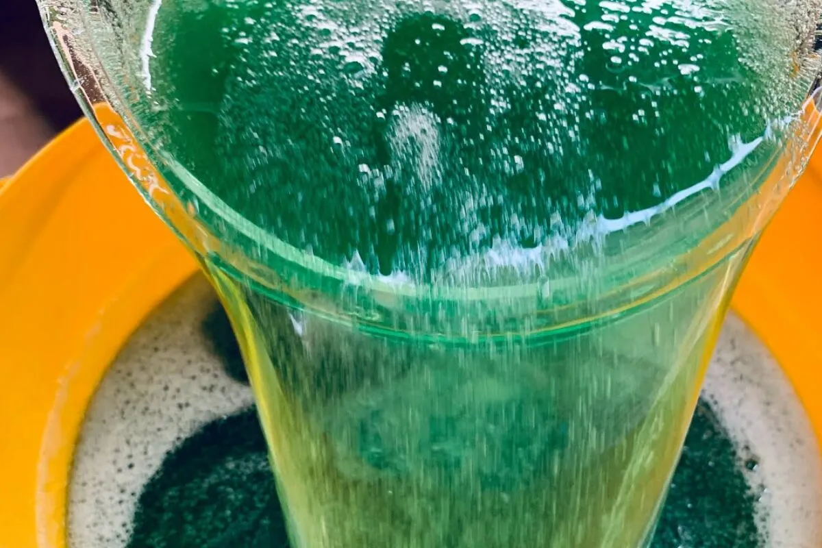 Detergente 2 em 1: pode usar como lavador de louças ou até mesmo de roupas