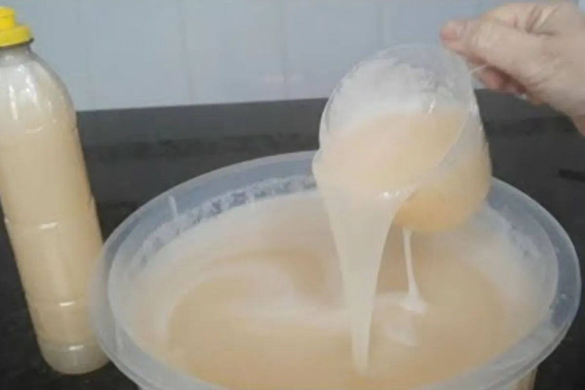 Detergente caseiro 2 em 1: limpa louça e dá brilho no alumínio, sem usar soda cáustica