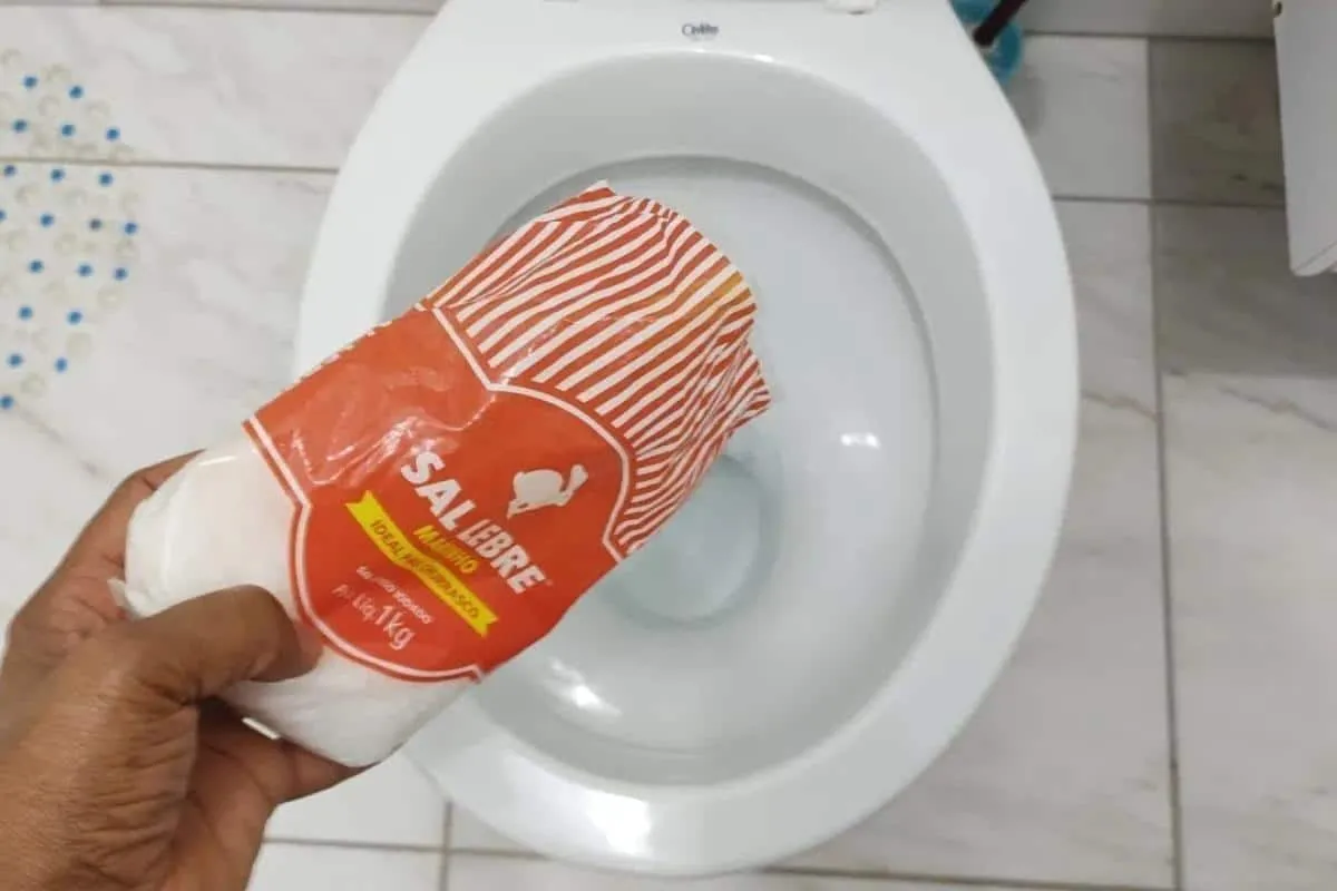 Dica para limpar banheiro: depois que aprendi limpar assim ficou muito fácil