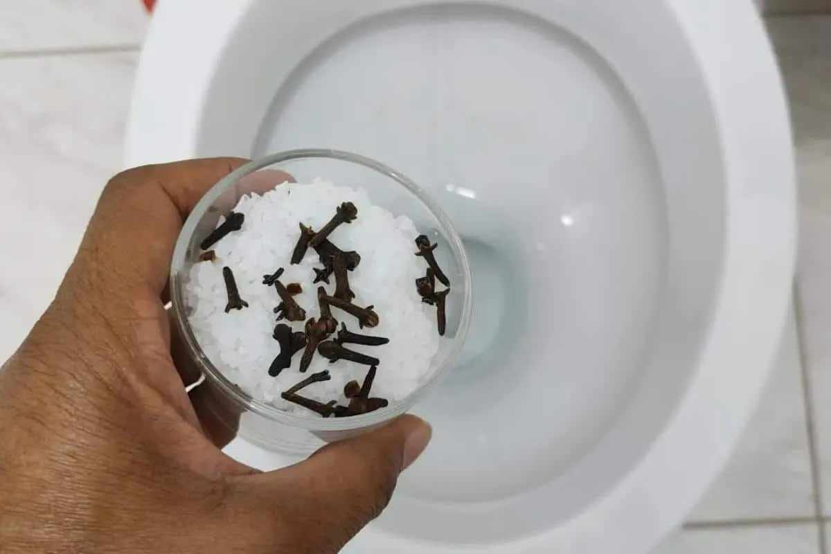 Dica para limpar e perfumar banheiro sem precisar gastar muito dinheiro com produto de limpeza