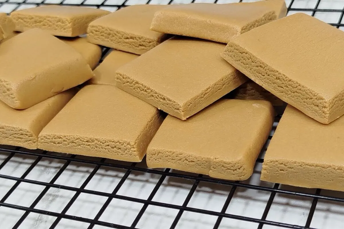 Doce de leite feito com 2 ingredientes e sem ir ao fogo, cremoso e viciante