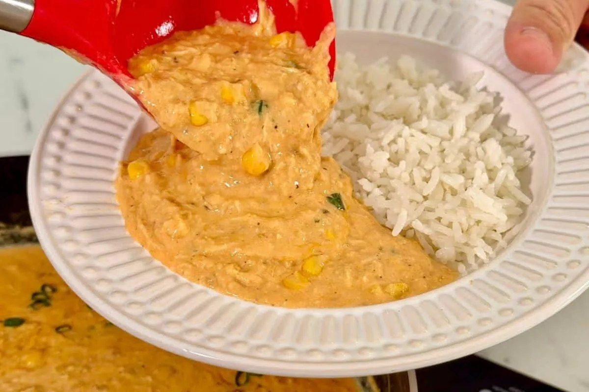 Frango cremoso: receita mais fácil do mundo que rende muito para o seu almoço