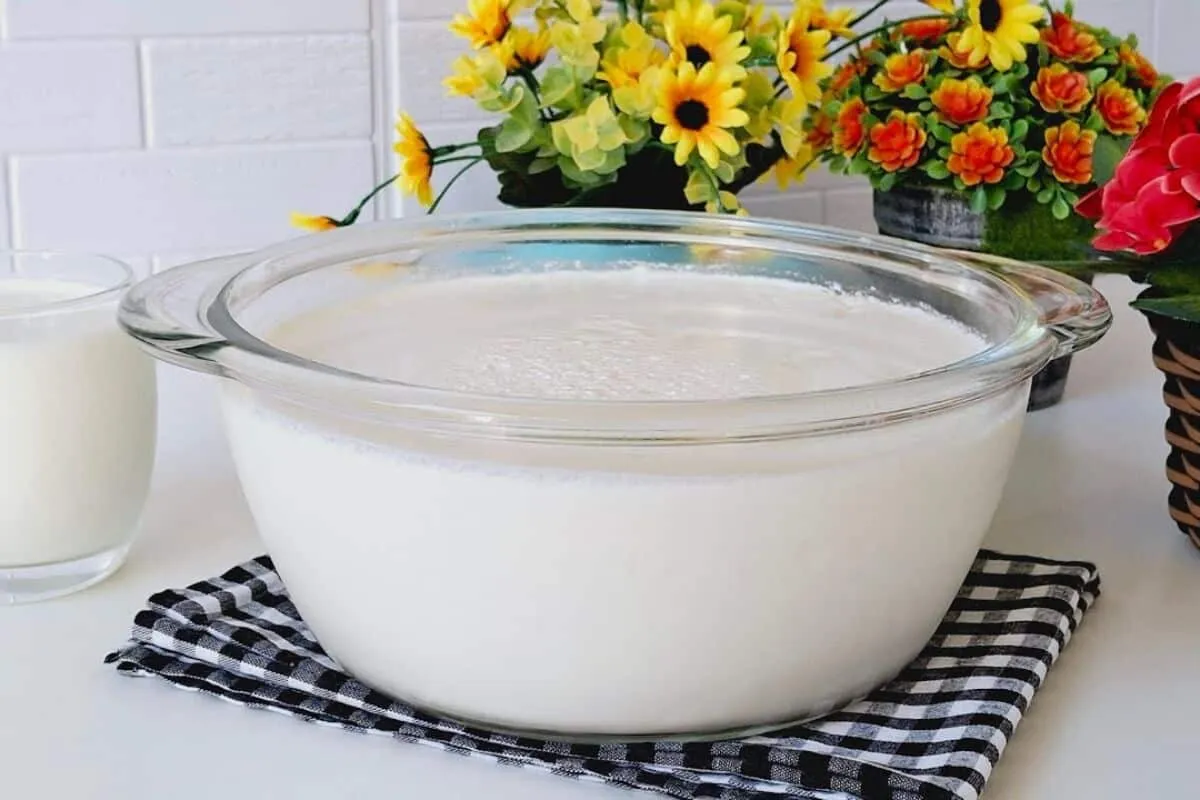 Iogurte caseiro com apenas 2 ingredientes bem consistente e sem soro