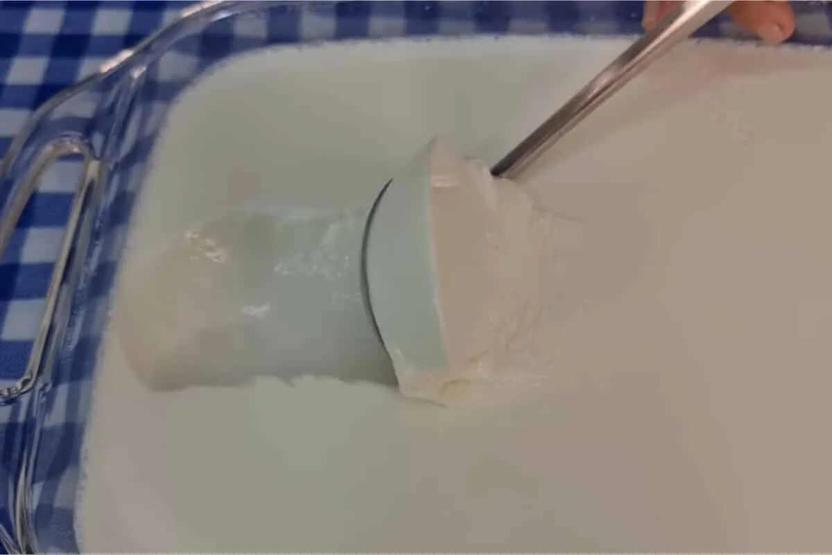 Iogurte grego caseiro: econômico, cremoso e muito fácil, igual ao de supermercado
