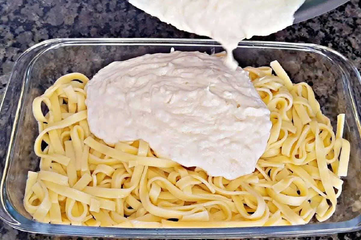 Macarrão com molho branco delicioso para fazer em qualquer dia da semana