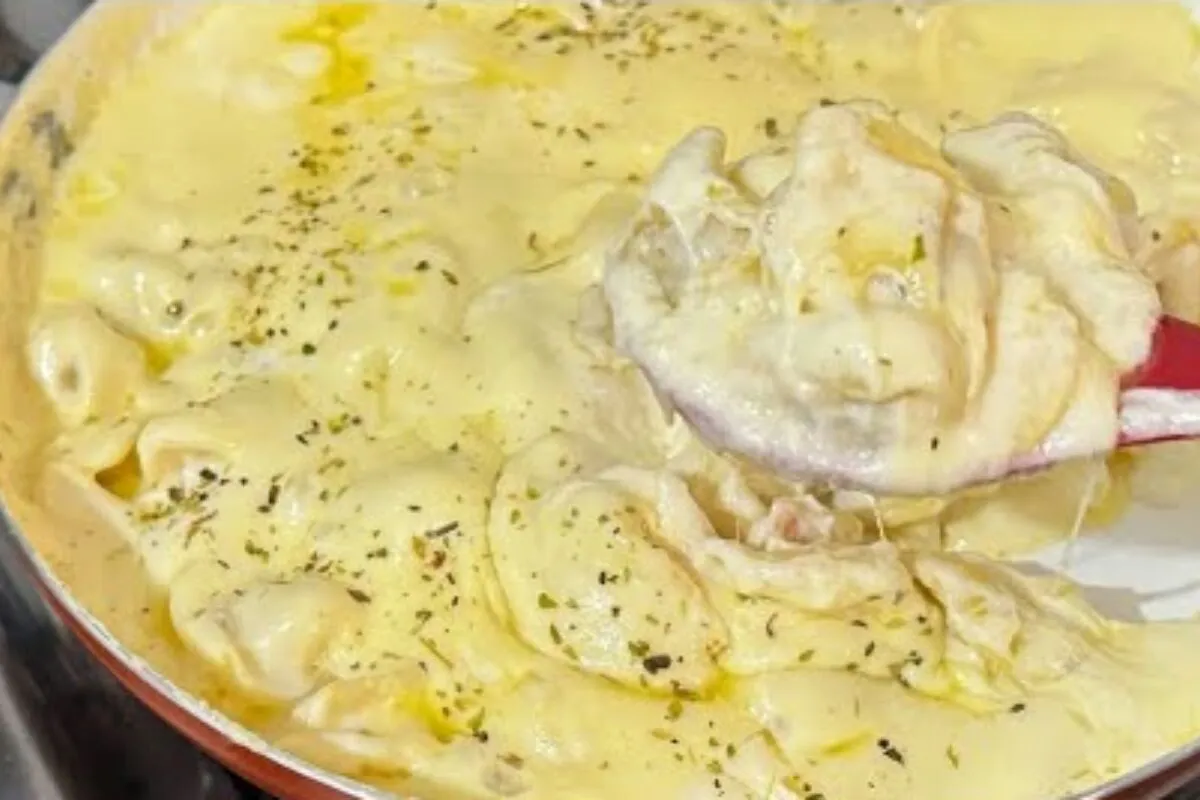 Massa ao molho branco: veja como fazer um capeletti de frango delicioso com parmesão