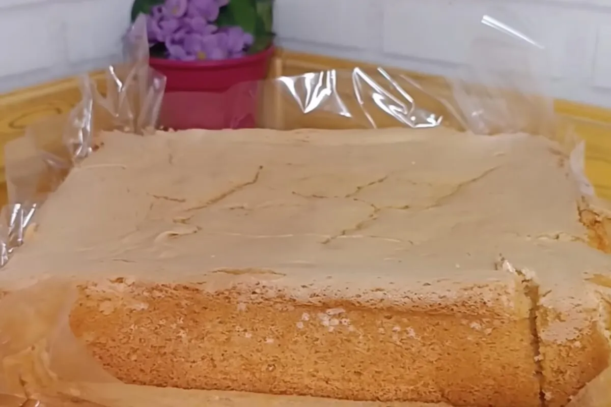Massa de bolo de padaria e confeitarias: massa profissional e seus segredos para o seu Bolo de Natal