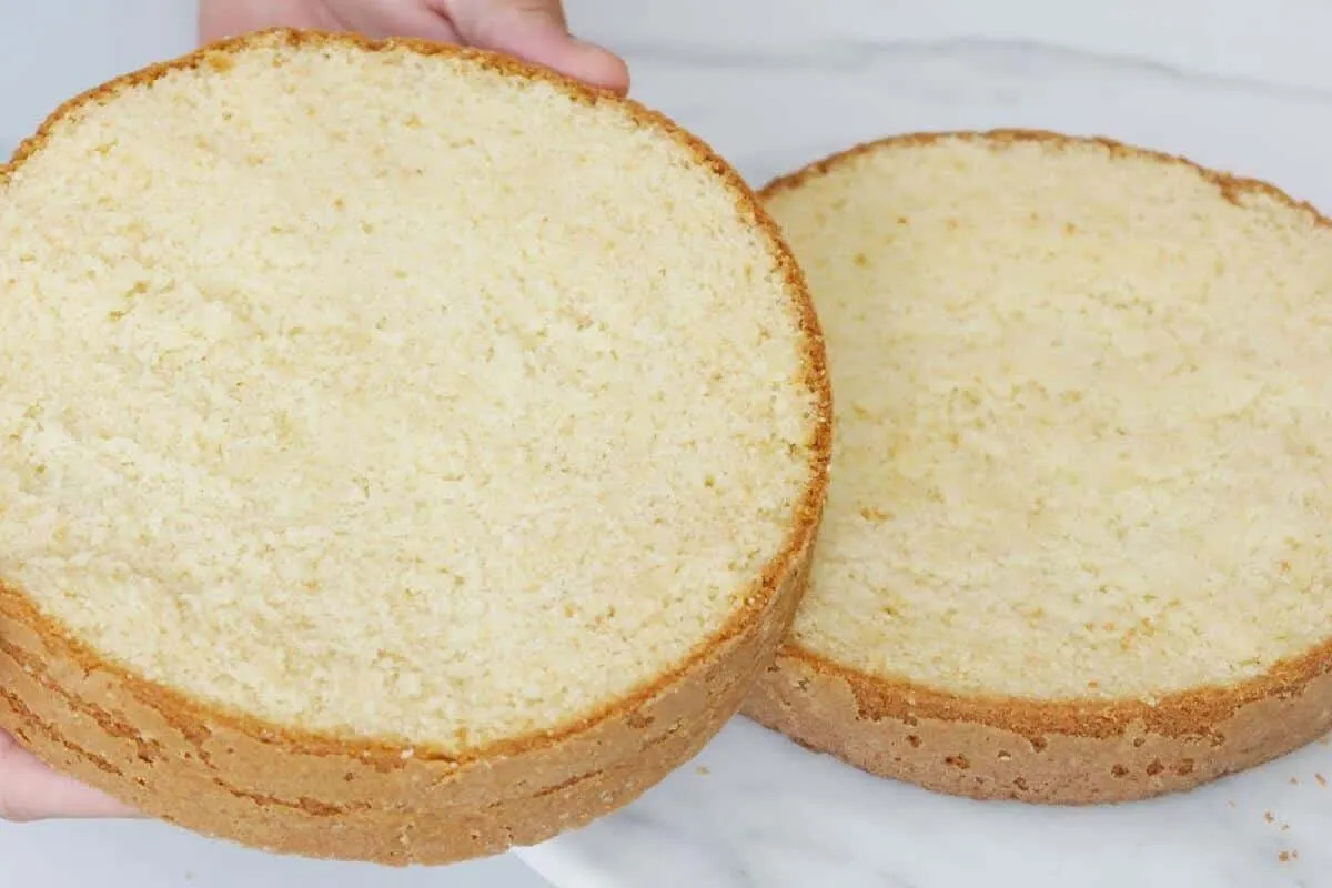 Massa de bolo profissional para você fazer em casa de um jeito fácil e prático