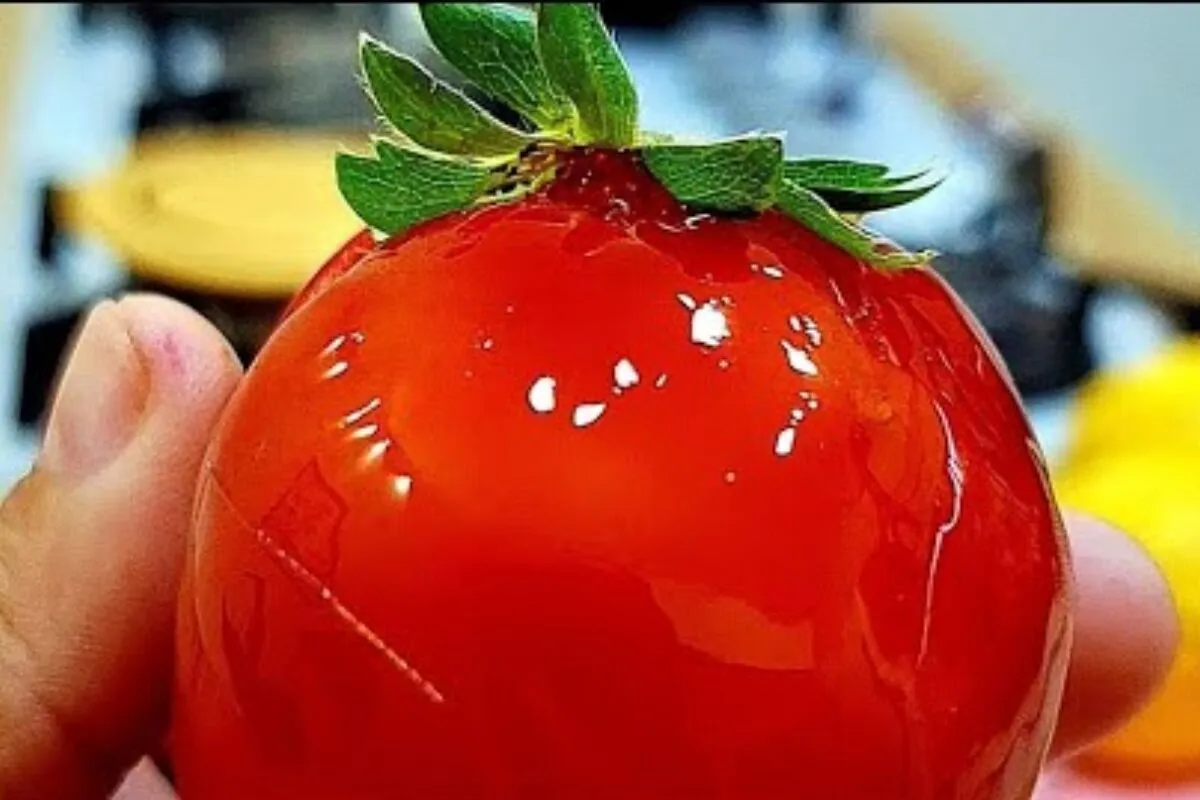 Morango do amor com calda brilhante e crocante que todo mundo ama