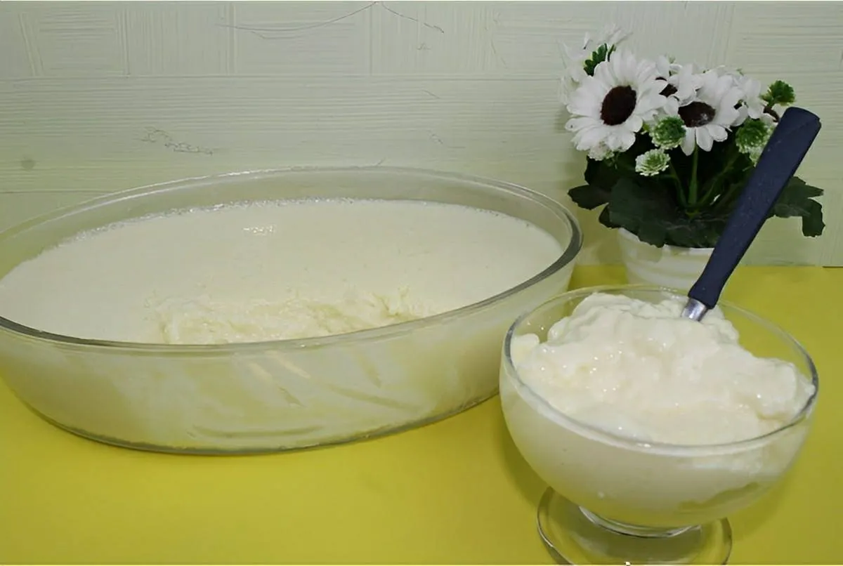 Mousse de leite ninho na travessa muito fácil de fazer para o almoço de natal
