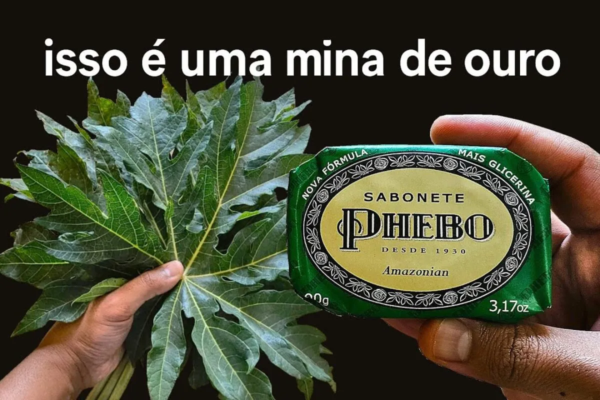 Multiuso caseiro com mamão e sabonete, limpa bem e é super econômico