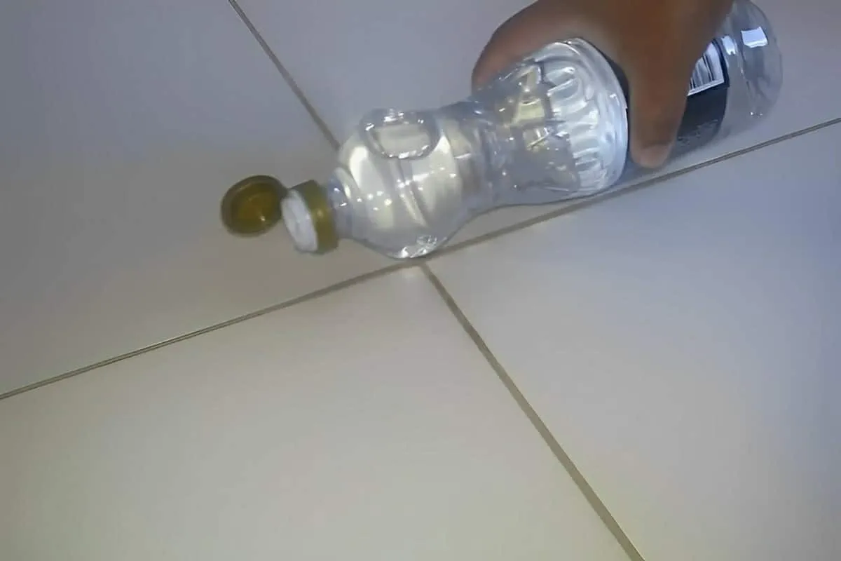Nunca imaginei que esse produto caseiro seria um excelente limpador de pisos e rejuntes