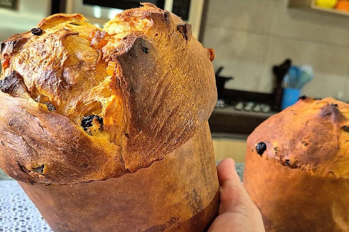 Panetone caseiro: faça seu panetone em casa, essa receita vai te surpreender, macia e saborosa